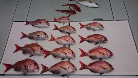 フィッシングボートACE（エース） 釣果