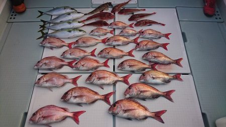 フィッシングボートACE（エース） 釣果