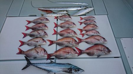 フィッシングボートACE（エース） 釣果