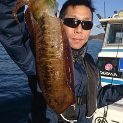 シードリーム 釣果