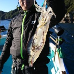 シードリーム 釣果