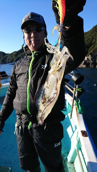 シードリーム 釣果