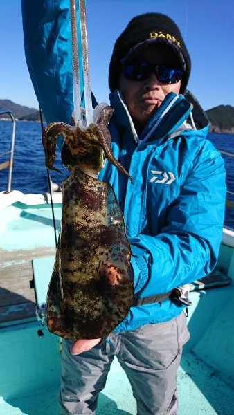 シードリーム 釣果