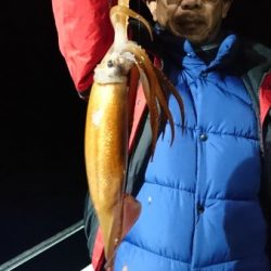 シードリーム 釣果