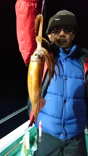 シードリーム 釣果