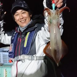 シードリーム 釣果