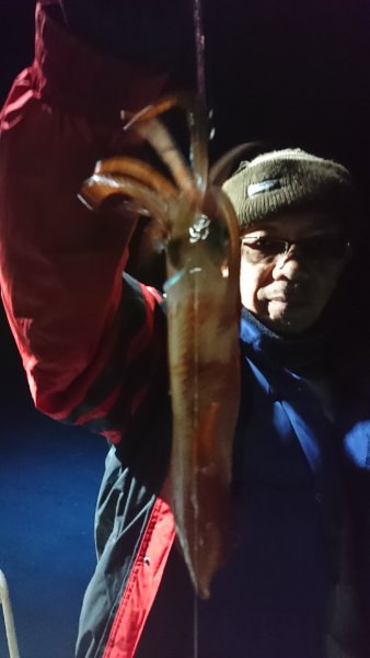 シードリーム 釣果