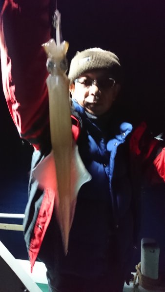 シードリーム 釣果