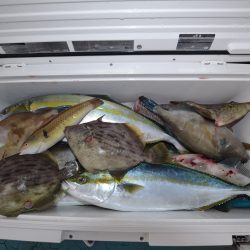 アジアマリンサービス 釣果