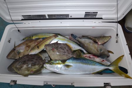 アジアマリンサービス 釣果