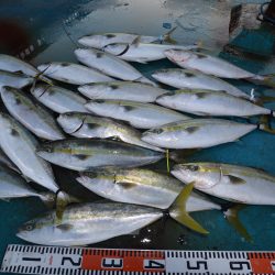 アジアマリンサービス 釣果