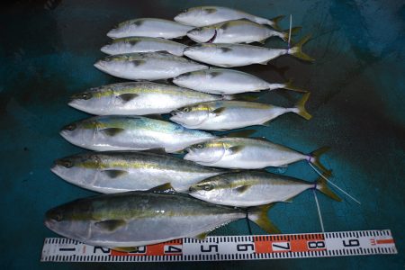 アジアマリンサービス 釣果