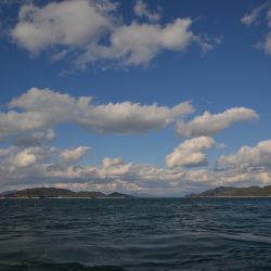 アジアマリンサービス 釣果