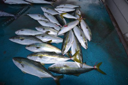 アジアマリンサービス 釣果