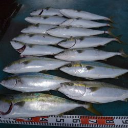 アジアマリンサービス 釣果