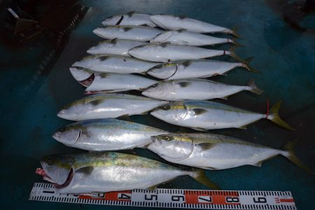 アジアマリンサービス 釣果