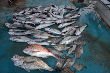 アジアマリンサービス 釣果