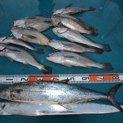 アジアマリンサービス 釣果