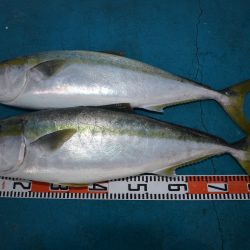 アジアマリンサービス 釣果