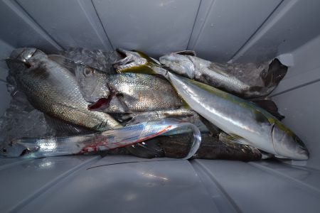 アジアマリンサービス 釣果