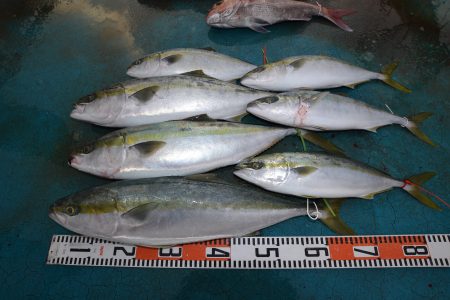 アジアマリンサービス 釣果