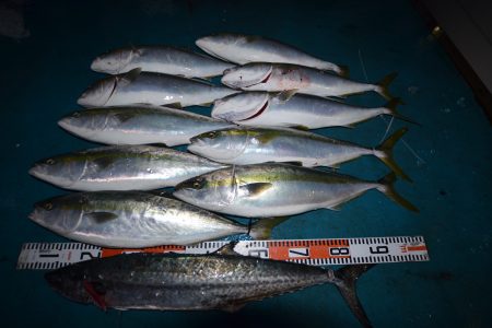 アジアマリンサービス 釣果