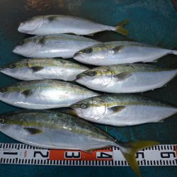 アジアマリンサービス 釣果