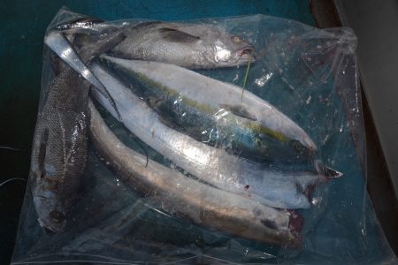 アジアマリンサービス 釣果