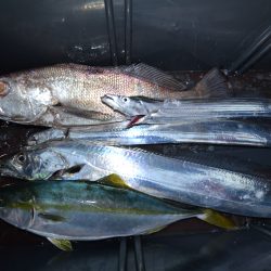 アジアマリンサービス 釣果