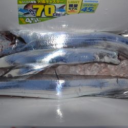 アジアマリンサービス 釣果