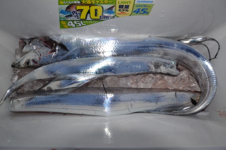 アジアマリンサービス 釣果