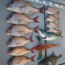 磯部釣船 直栄丸 釣果