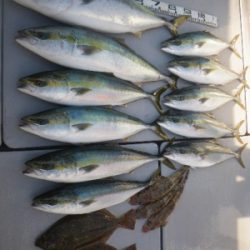 磯部釣船 直栄丸 釣果