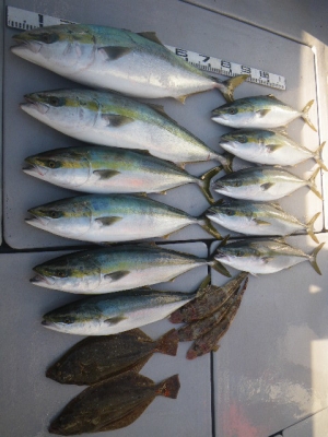 磯部釣船 直栄丸 釣果