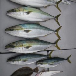 磯部釣船 直栄丸 釣果