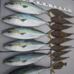 磯部釣船 直栄丸 釣果