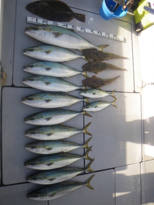 磯部釣船 直栄丸 釣果