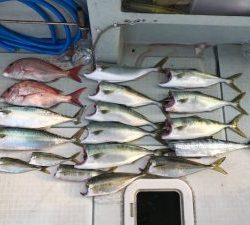 さぶろう丸 釣果