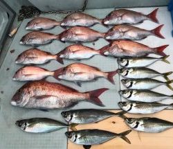 さぶろう丸 釣果