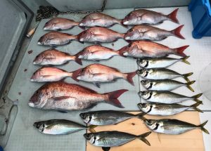 さぶろう丸 釣果