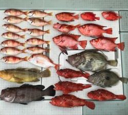 さぶろう丸 釣果