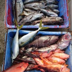 Sea Frend 片山丸 釣果