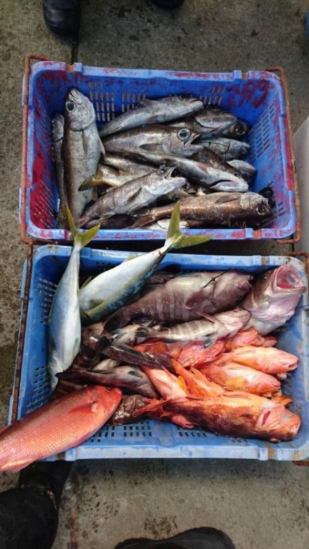 Sea Frend 片山丸 釣果