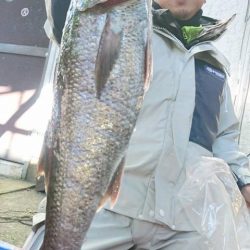 Sea Frend 片山丸 釣果