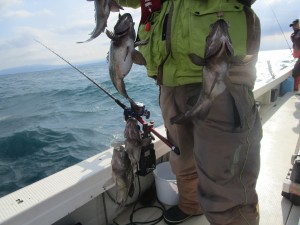 兼六丸 釣果