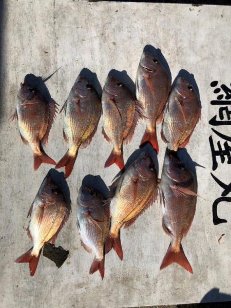網屋丸 釣果
