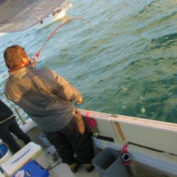 フィッシングガイド とちぎ 釣果