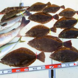 フィッシングガイド とちぎ 釣果