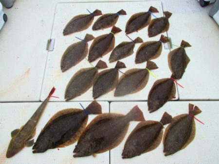 フィッシングガイド とちぎ 釣果