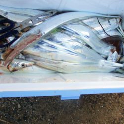 フィッシングガイド とちぎ 釣果